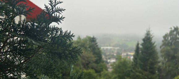1 Schlafzimmer Wohnung in Schwarzwald-Baar-Kreis, Germany, Nr. 350446 25