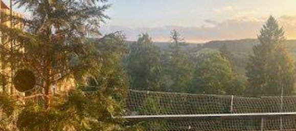 1 Schlafzimmer Wohnung in Schwarzwald-Baar-Kreis, Germany, Nr. 350446 24