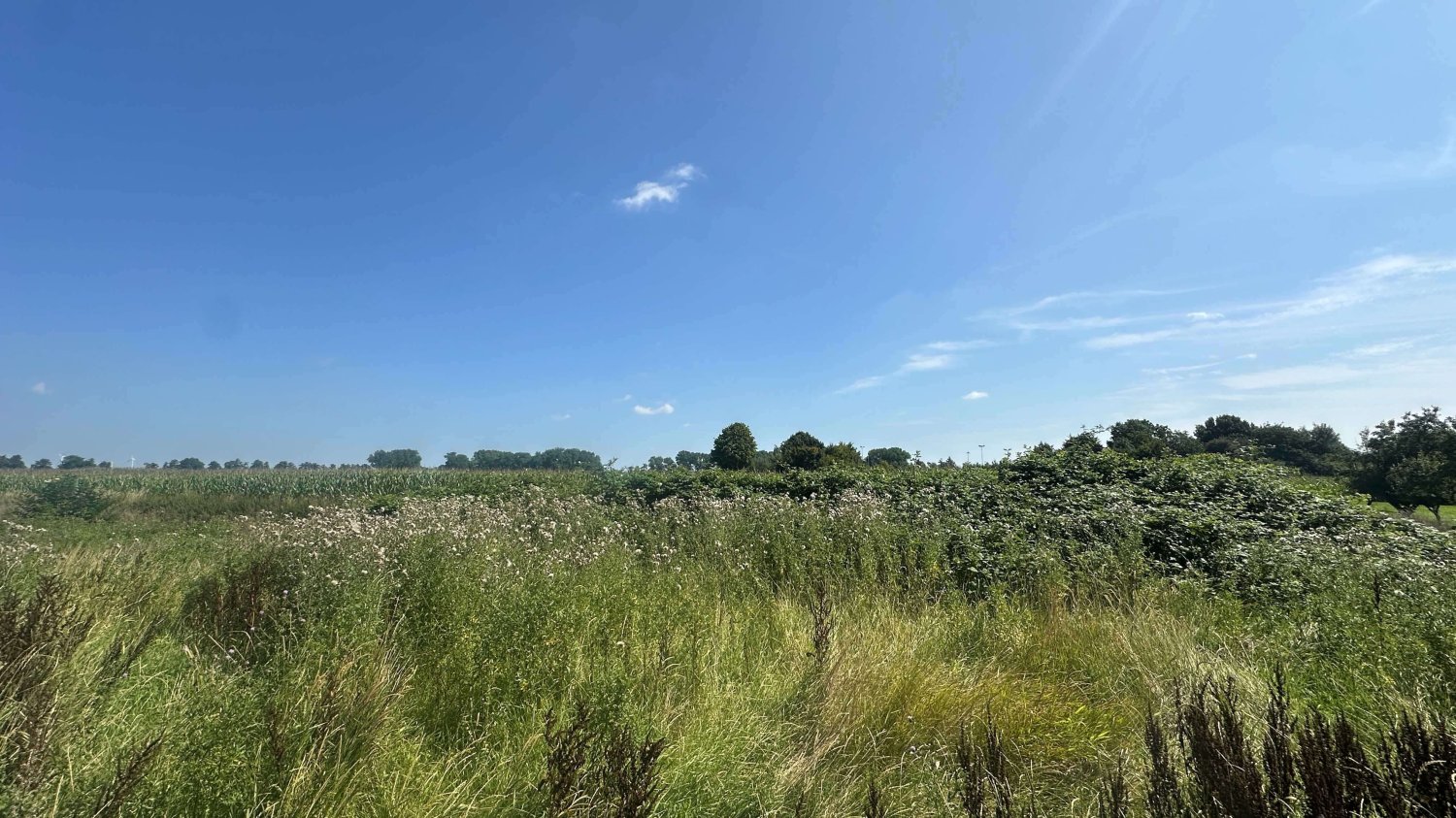  Land in Pinneberg, Germany No. 364367