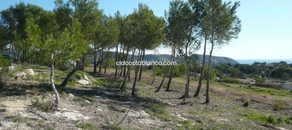  Land in Moraira, Spain No. 92217 15