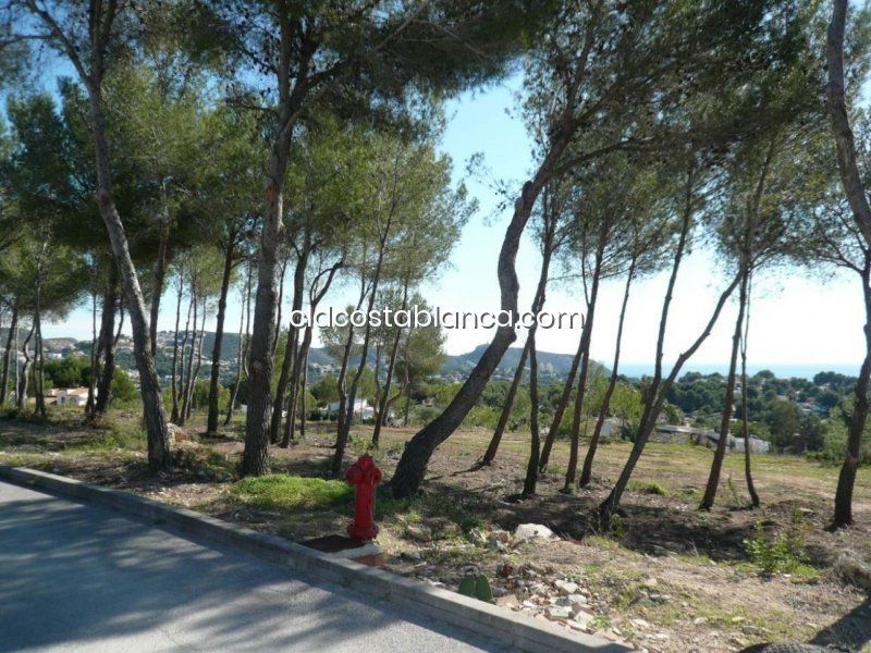 Land in Moraira, Spain No. 92217
