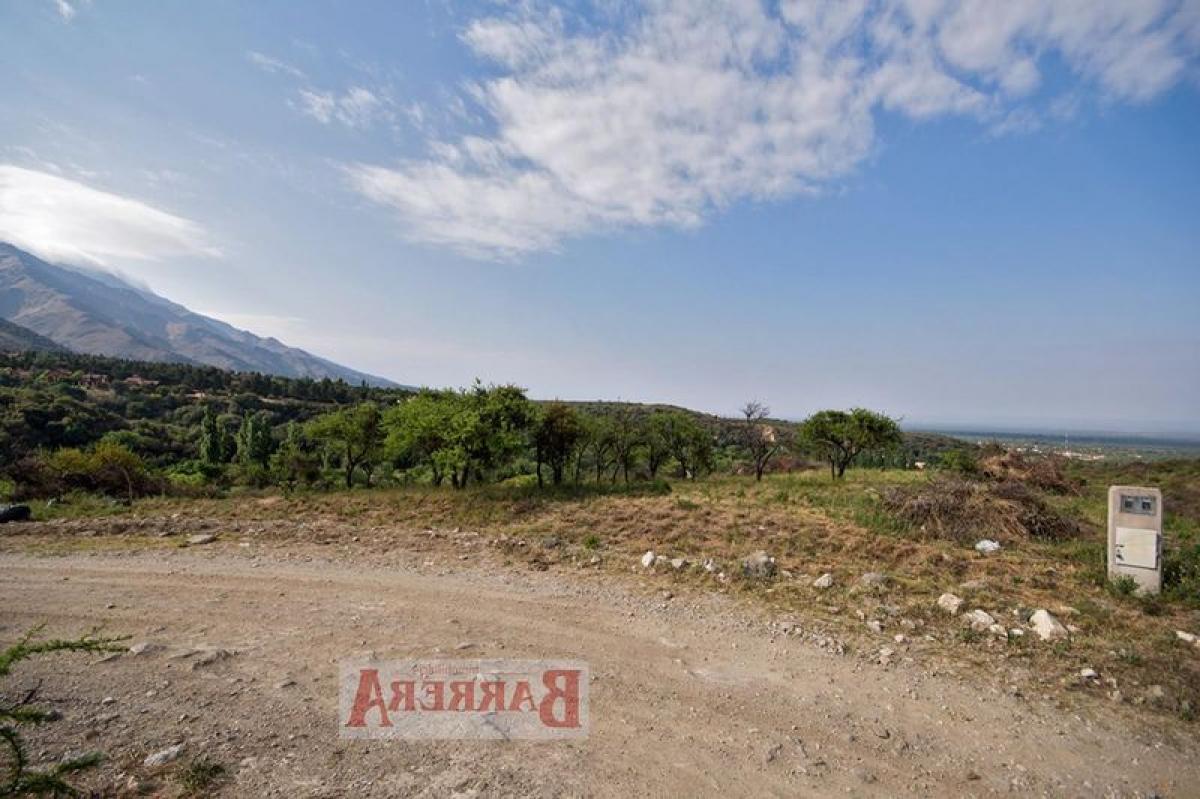 Земельный участок в Сан-Луис, Аргентина № 45972