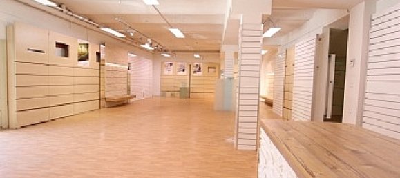 550m² Building in Feldkirchen in Karnten, Austria No. 210828 5