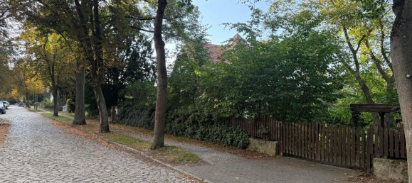  Land in Havelland, Germany No. 295697 4