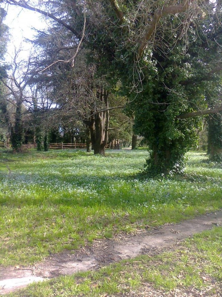 Grundstück in Mar del Plata, Argentina, Nr. 116009