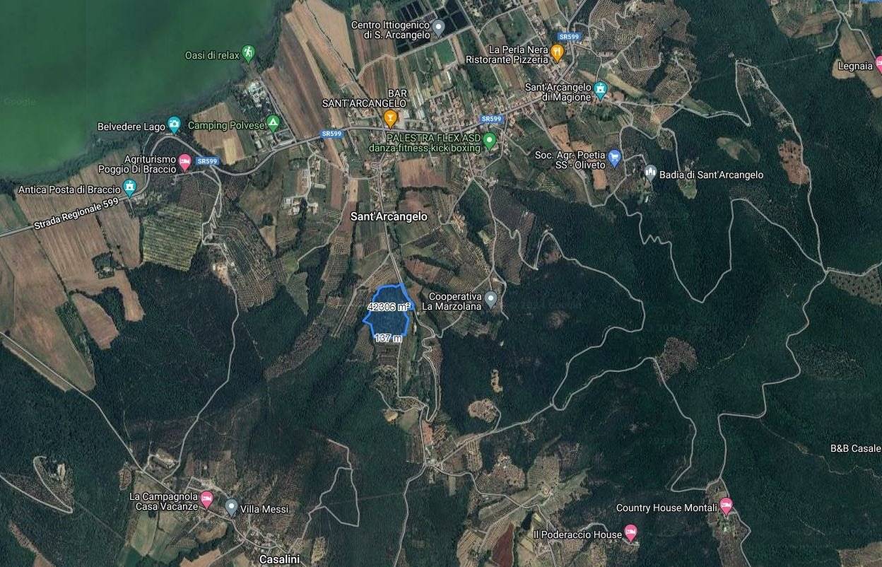 Grundstück in Magione, Italy 42000m², Nr. 106857