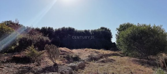 Casa de 4 dormitorios en Sintra, Portugal No. 166019 19