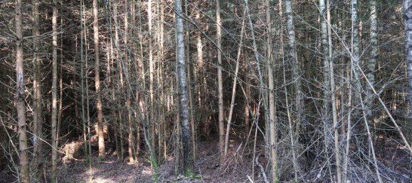 Terreno en Erding, Germany No. 316806 2