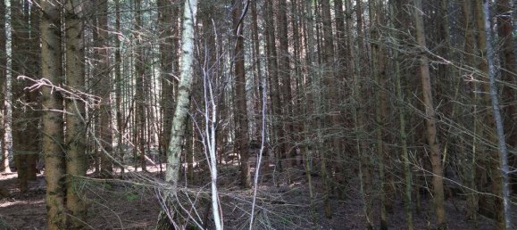 Terreno en Erding, Germany No. 316806 3