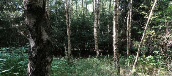 Terreno en Erding, Germany No. 316806 4