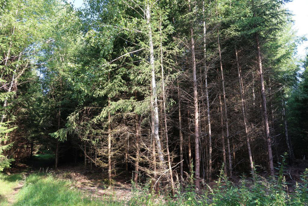  قطعة أرض في Erding, Germany رقم 316806