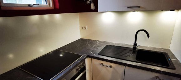 Studio in Leopoldstadt, Austria No. 170372 5