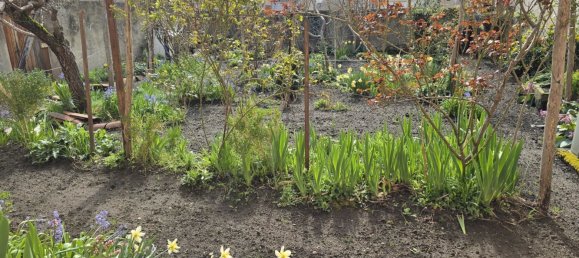2 chambres Maison à Brassac-les-Mines, France No. 43259 9