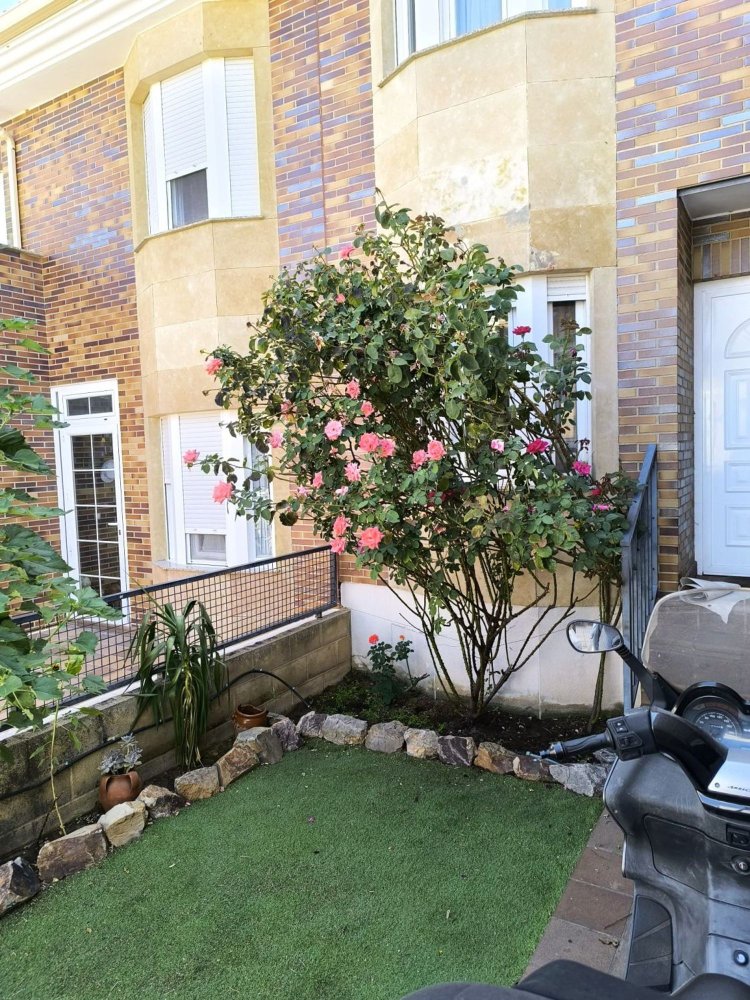 Дом с 5 спальнями в Карраскаль-де-Баррегас, Испания № 115045