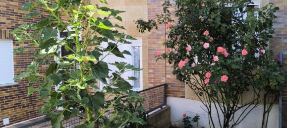 Дом с 5 спальнями в Карраскаль-де-Баррегас, Испания № 115045 34