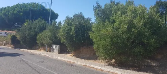 Terrain à Cascais, Portugal No. 139553 2