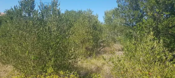 Terrain à Cascais, Portugal No. 139553 4