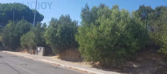 Terrain à Cascais, Portugal No. 139553 11