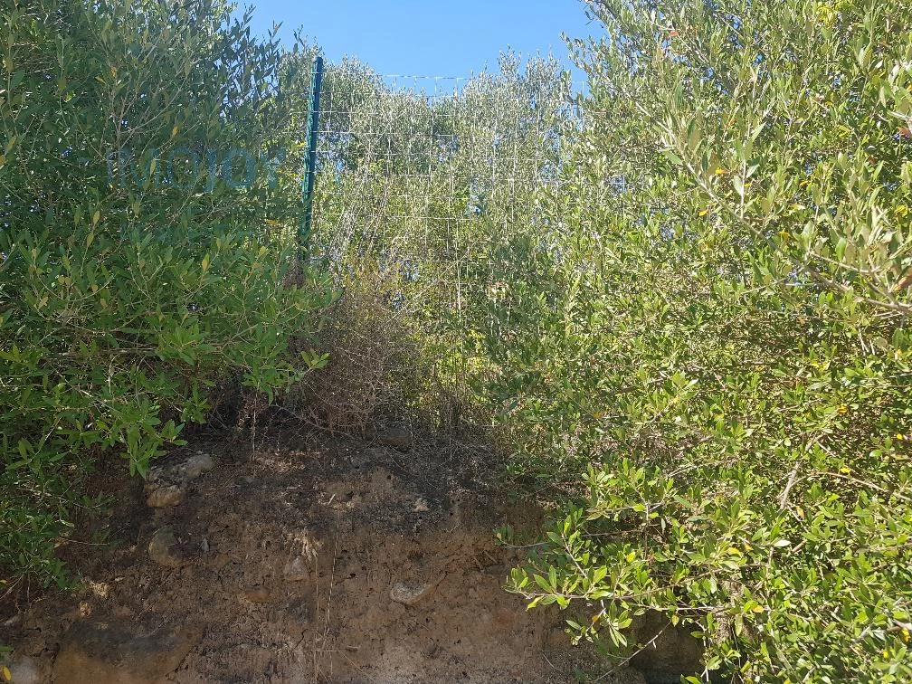 Terrain à Cascais, Portugal No. 139553
