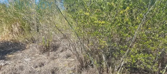 Terrain à Cascais, Portugal No. 139553 12