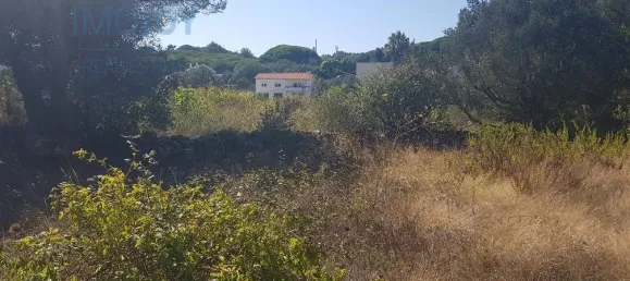 Terrain à Cascais, Portugal No. 139553 17