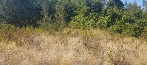 Terrain à Cascais, Portugal No. 139553 5