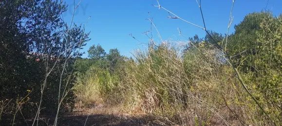 Terrain à Cascais, Portugal No. 139553 7