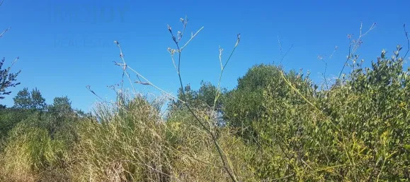 Terrain à Cascais, Portugal No. 139553 9