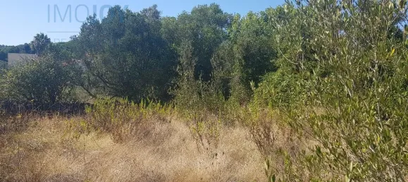 Terrain à Cascais, Portugal No. 139553 10