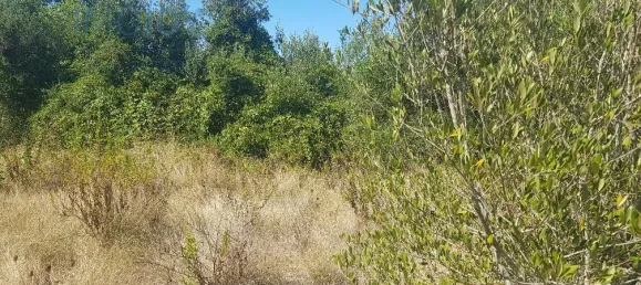 Terrain à Cascais, Portugal No. 139553 15