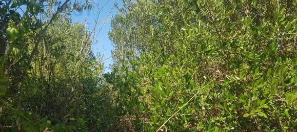 Terrain à Cascais, Portugal No. 139553 14