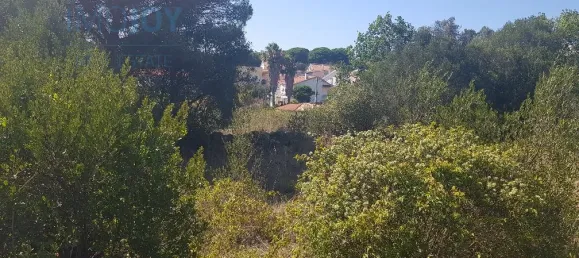 Terrain à Cascais, Portugal No. 139553 16