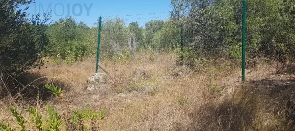Terrain à Cascais, Portugal No. 139553 6