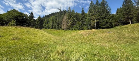 Grundstück in Garmisch-Partenkirchen, Germany, Nr. 225903 8
