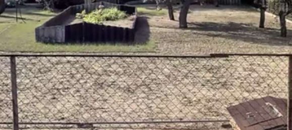 Terrain à Potsdam-Mittelmark, Germany No. 225888 3