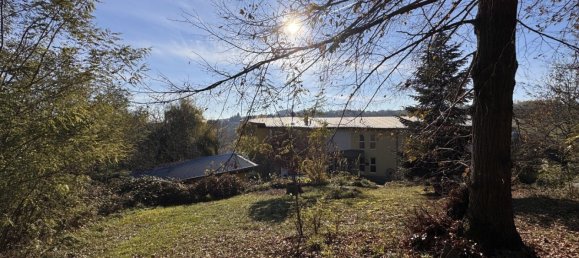 16 rooms Hotel in Stegersbach, Austria No. 57868 18