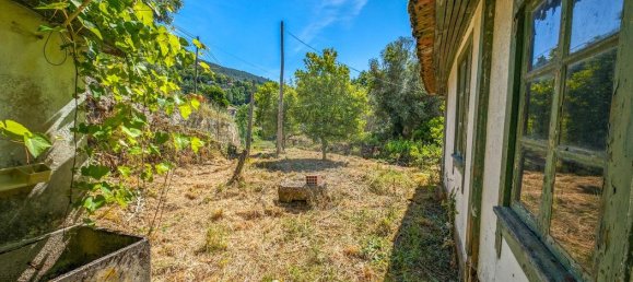 3 bedrooms House in Ribeira de Pena, Portugal No. 185586 16