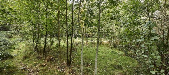  Land in Pressbaum, Austria No. 137943 10