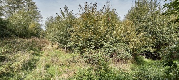  Land in Pressbaum, Austria No. 137943 13