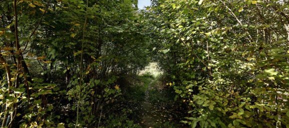  Land in Pressbaum, Austria No. 137943 18