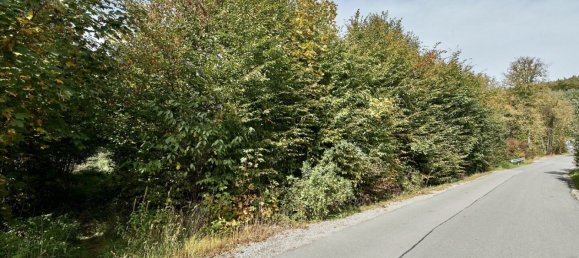  Land in Pressbaum, Austria No. 137943 9