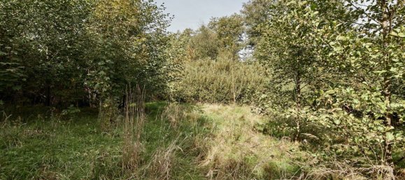  Land in Pressbaum, Austria No. 137943 8