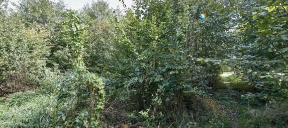  Land in Pressbaum, Austria No. 137943 16