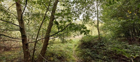  Land in Pressbaum, Austria No. 137943 6