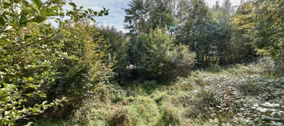  Land in Pressbaum, Austria No. 137943 3