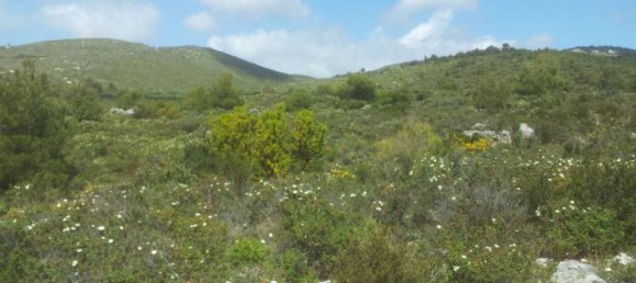  Hotel in Zakynthos, Greece No. 542 9