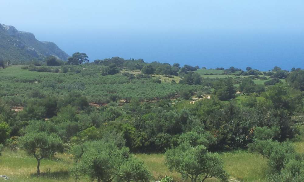  Hotel in Zakynthos, Greece No. 542