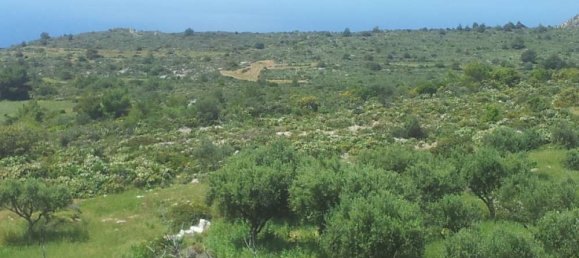  Hotel in Zakynthos, Greece No. 542 11