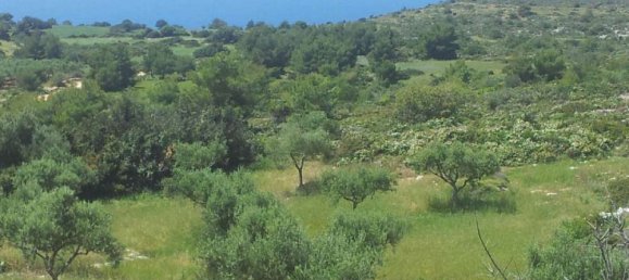  Hotel in Zakynthos, Greece No. 542 3