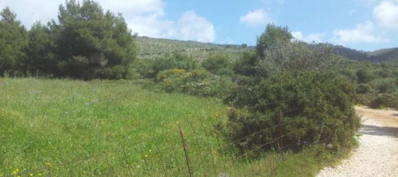  Hotel in Zakynthos, Greece No. 542 5